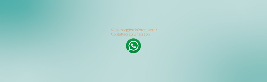 Contattaci su Whatsapp